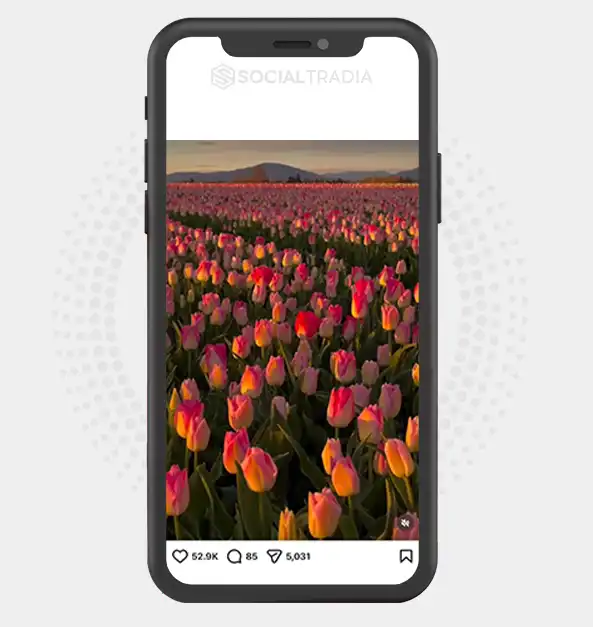 buy instagram account