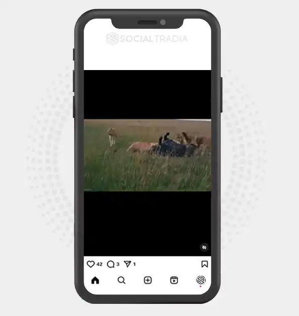 buy instagram account
