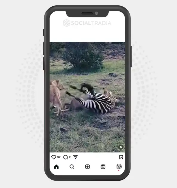 buy instagram account