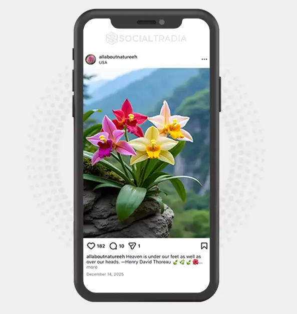 buy Instagram account allaboutnatureeh (3.1k Followers)