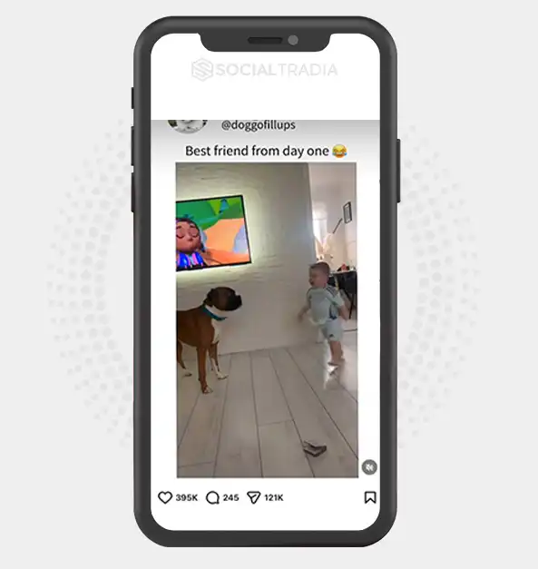 buy Instagram account DogsClub (20.9k Followers)