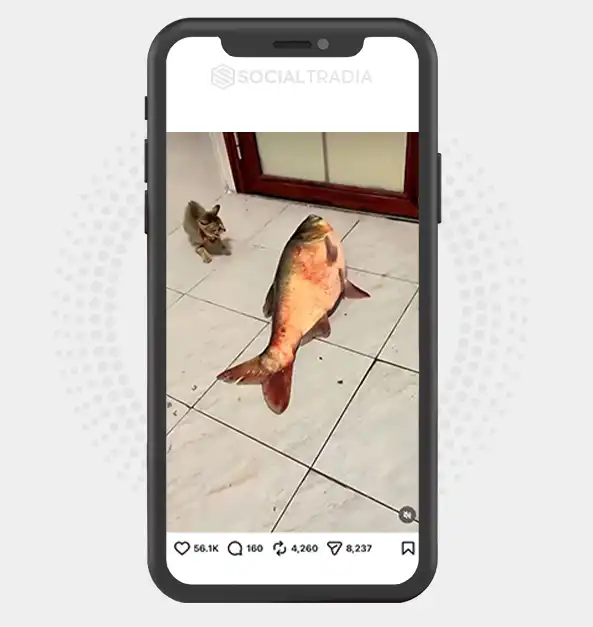 buy instagram account
