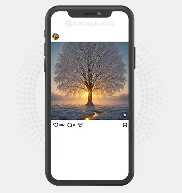 buy Instagram account NatureCall (3.9k Followers)