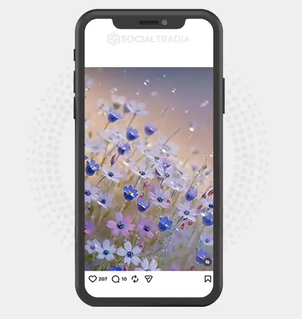 buy Instagram account Scenic Routes (2.3k Followers)