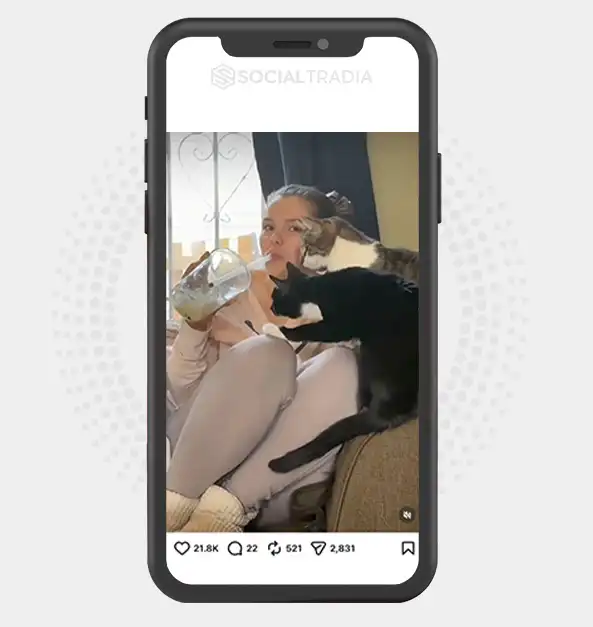 buy Instagram account viralcuteekitty (28.3 k Followers)