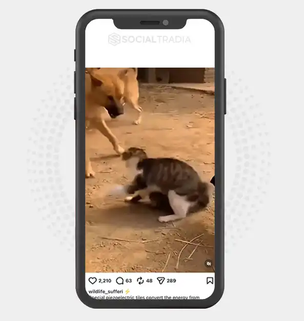 buy instagram account