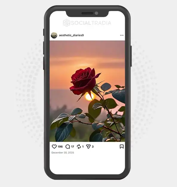buy Instagram account aesthetic_diaries0 (2k Followers)