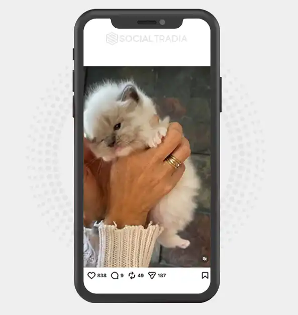 buy Instagram account Cuddle Monarch (33.6k Followers)