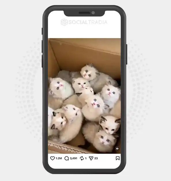 buy instagram account