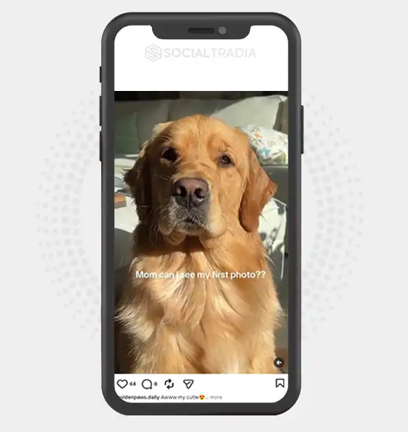 buy instagram account