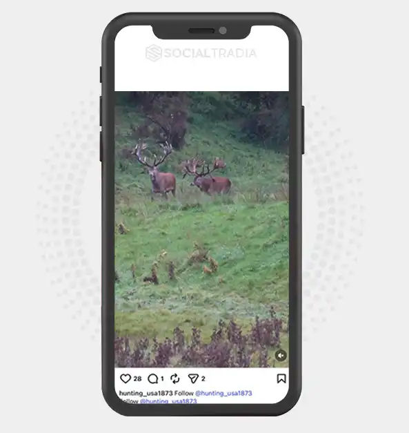 buy Instagram account hunting_usa1873 (2.6k Followers)