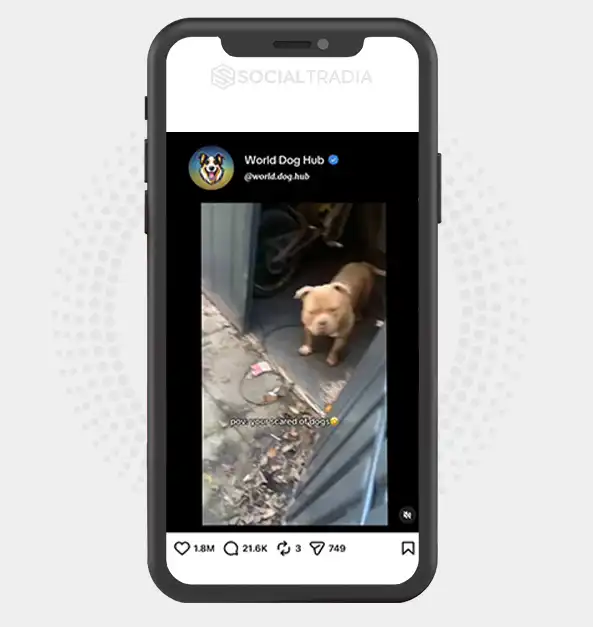 buy instagram account