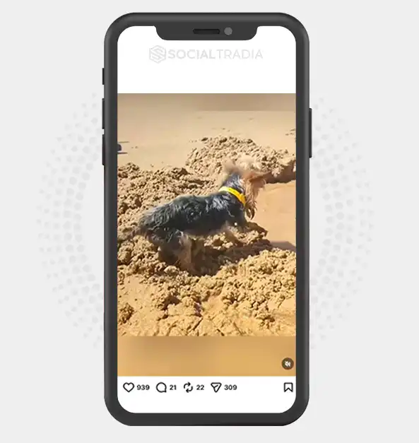 buy instagram account