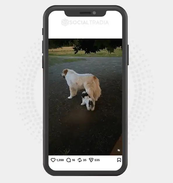 buy instagram account