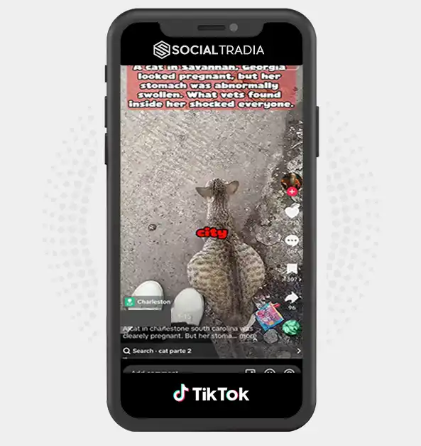 buy Instagram account Soul Stories (1M Followers)