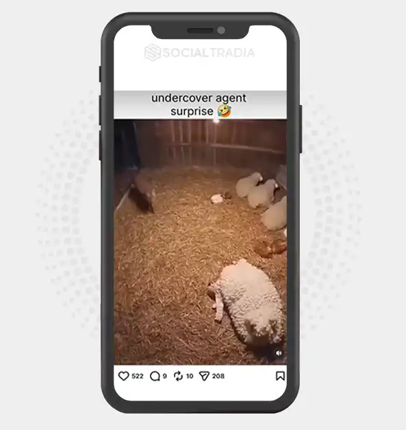 buy instagram account