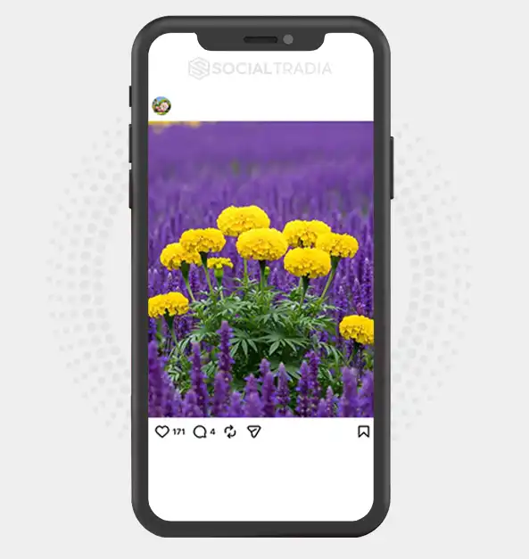 buy instagram account
