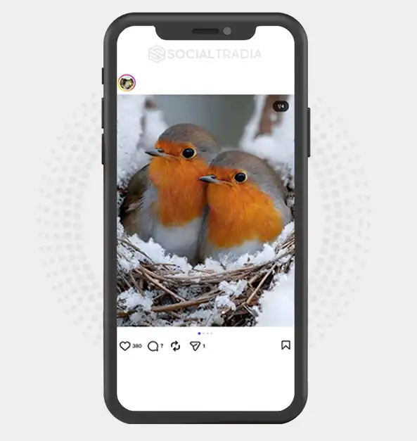 buy instagram account