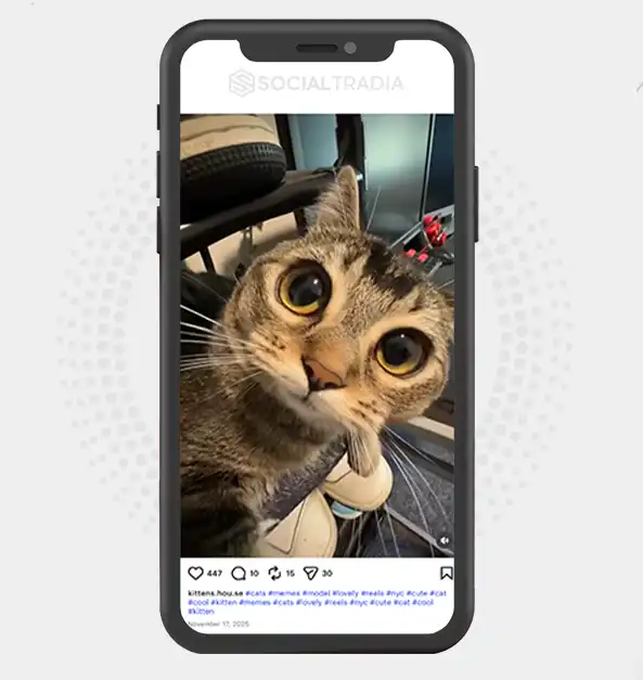 buy Instagram account Kittens.hou.se (2.1k Followers)
