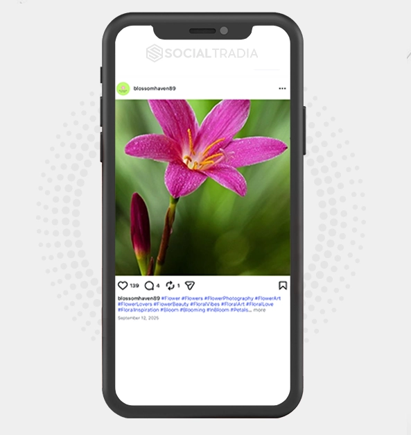 buy Instagram account blossomhaven89 (2.1k Followers)