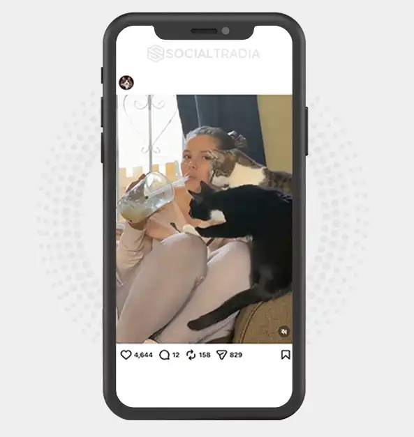 buy Instagram account calvinmeoww (4.3k Followers)