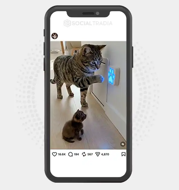 buy Instagram account calvinmeoww (4.3k Followers)