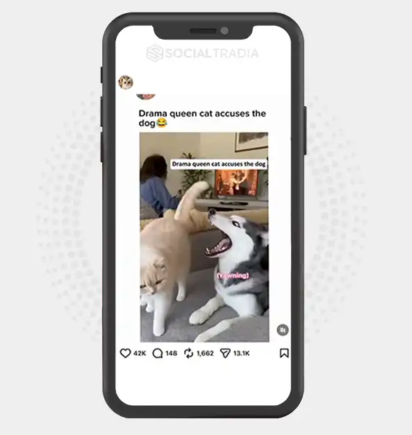 buy Instagram account catsworlds2025 (3k Followers)