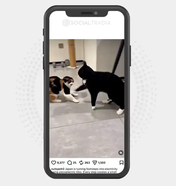 buy Instagram account cutepett2 (4k Followers)