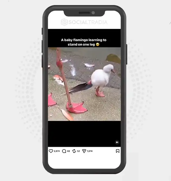 buy instagram account