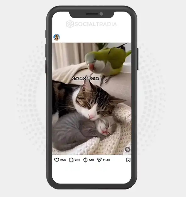 buy instagram account