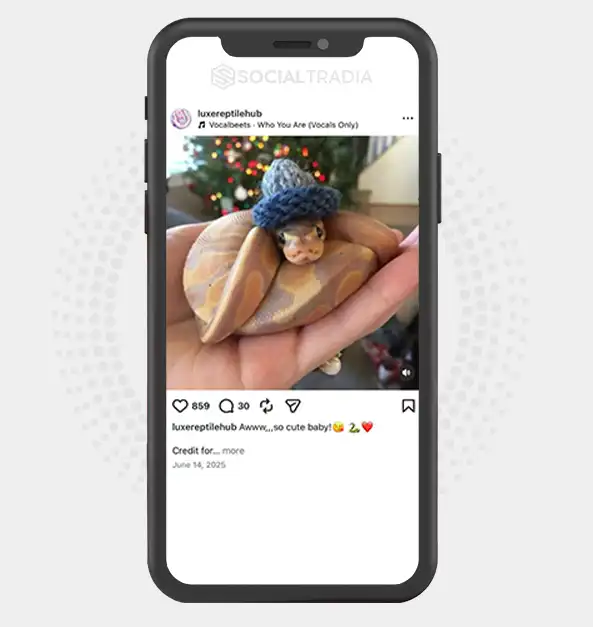 buy Instagram account luxereptilehub (1.8k Followers)