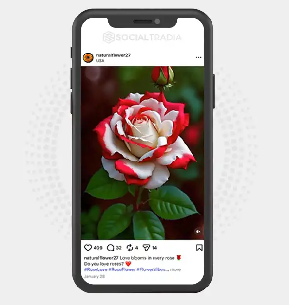 buy Instagram account naturalflower27 (3.3k Followers)