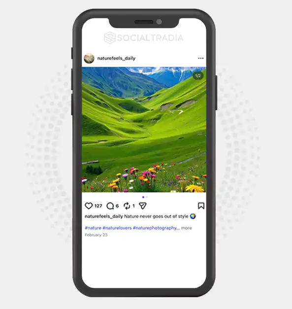 buy Instagram account naturefeels_daily (2.3k Followers)