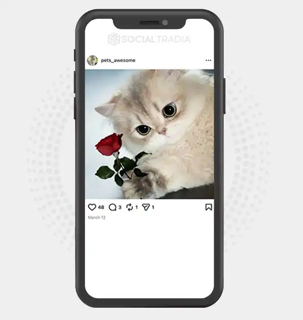 buy Instagram account pets_awesome (2.1k Followers)