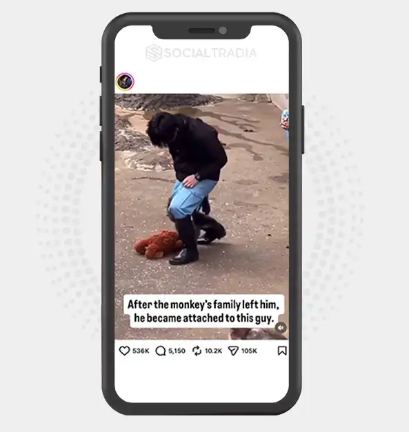 buy instagram account