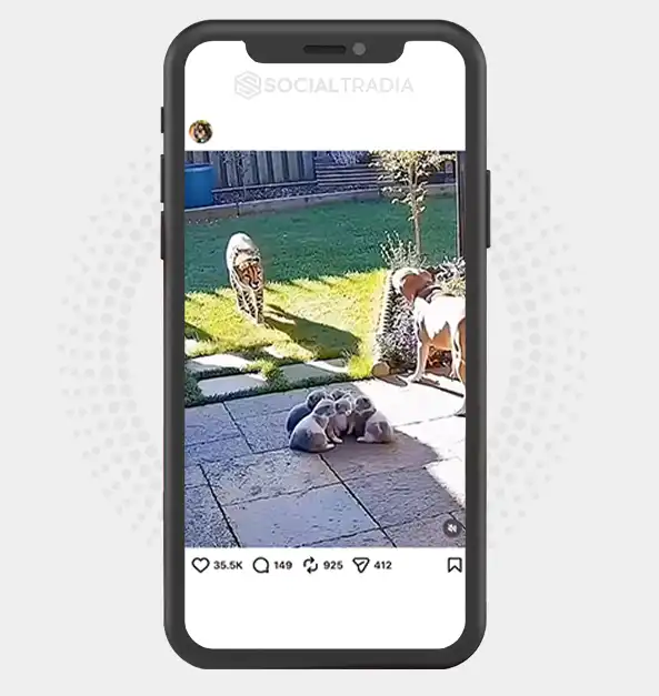buy instagram account
