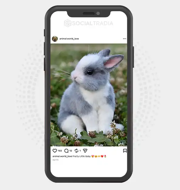 buy Instagram account animal.world_love (2.1k Followers)
