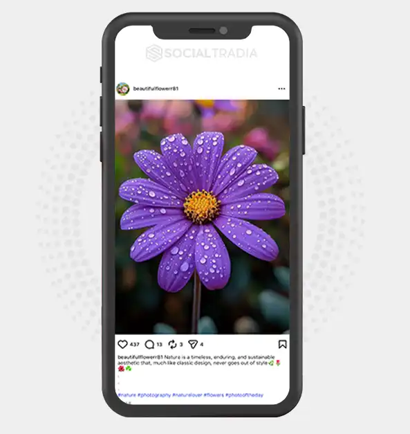 buy instagram account