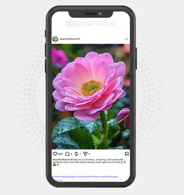 buy Instagram account beautifulflowerr81 (8.3k Followers)