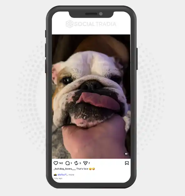 buy Instagram account _bull.dog_lovers___ (2.7k Followers)