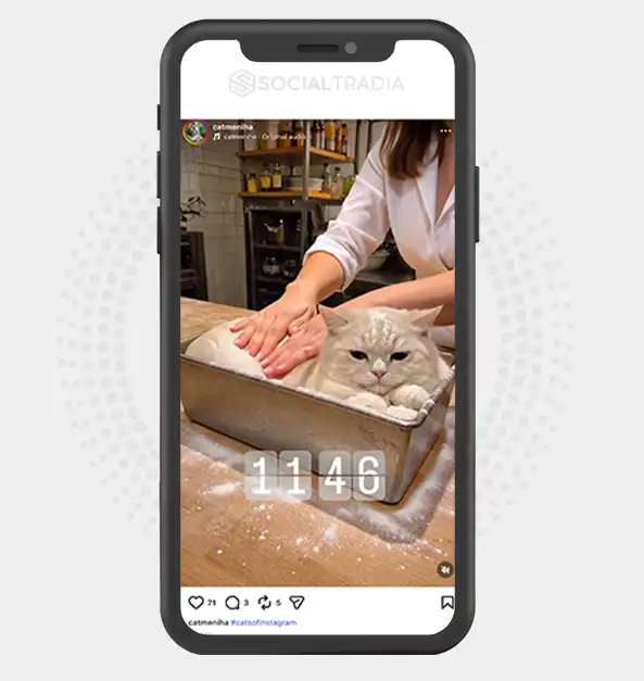 buy Instagram account catmeniha (3.6k Followers)