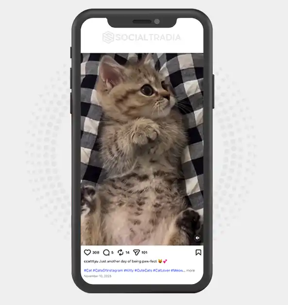 buy Instagram account ccatttyu (2.1k Followers)