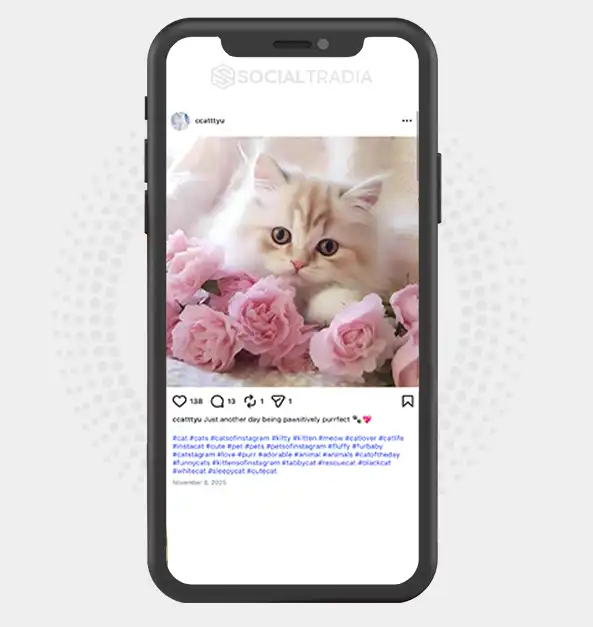 buy Instagram account ccatttyu (2.1k Followers)