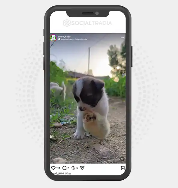 buy Instagram account cute2_8165 (2.4k Followers)