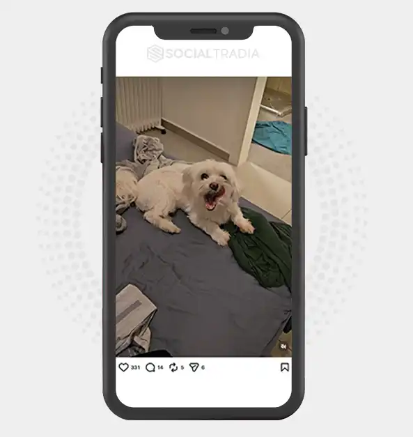 buy instagram account