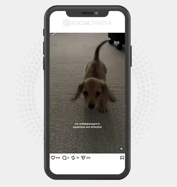 buy instagram account