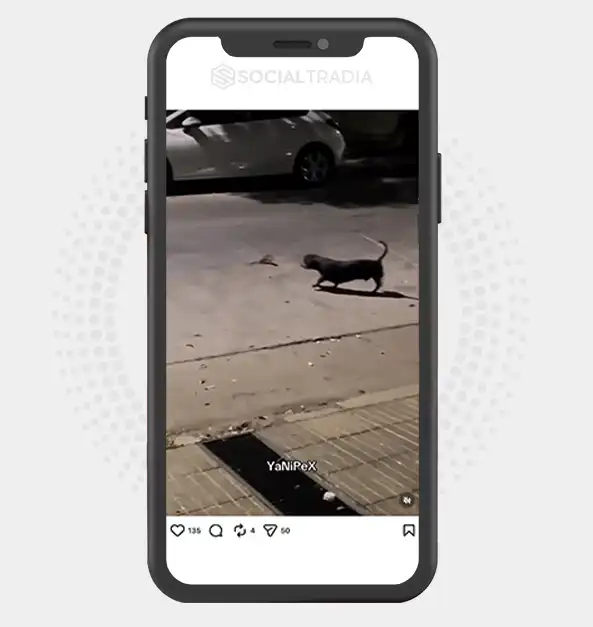 buy instagram account