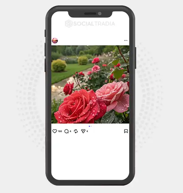buy Instagram account FlowerPop (2.7k Followers)