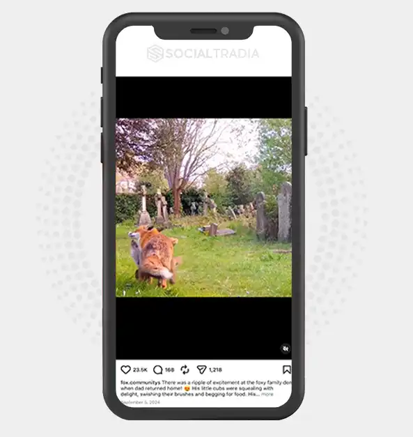 buy instagram account
