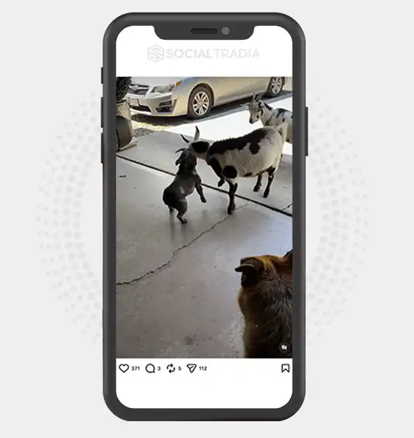 buy instagram account